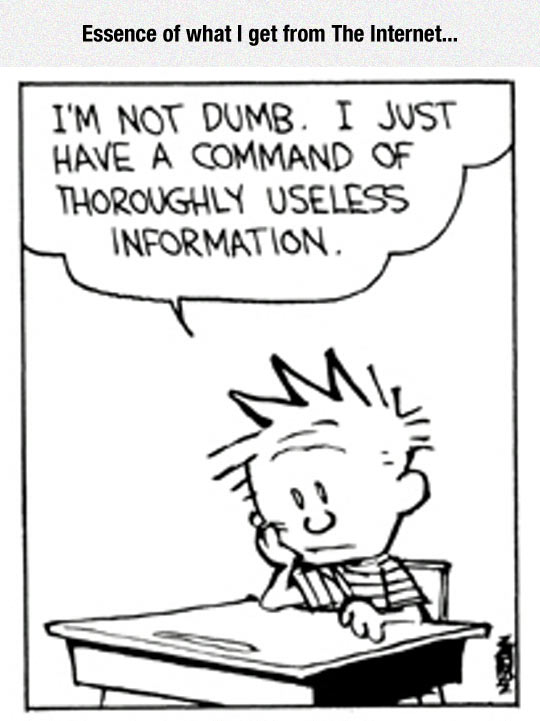 funny-Calvin-comic-information-useless