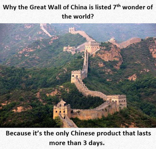 funny-Chinese-Wall-wonder-product