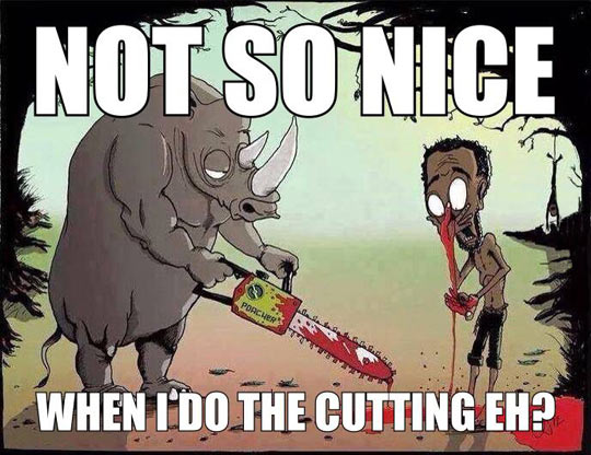 Rhinos Get Revenge