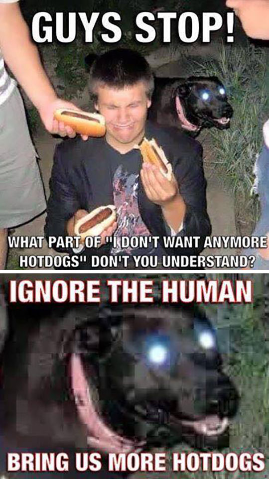 Ignore The Human