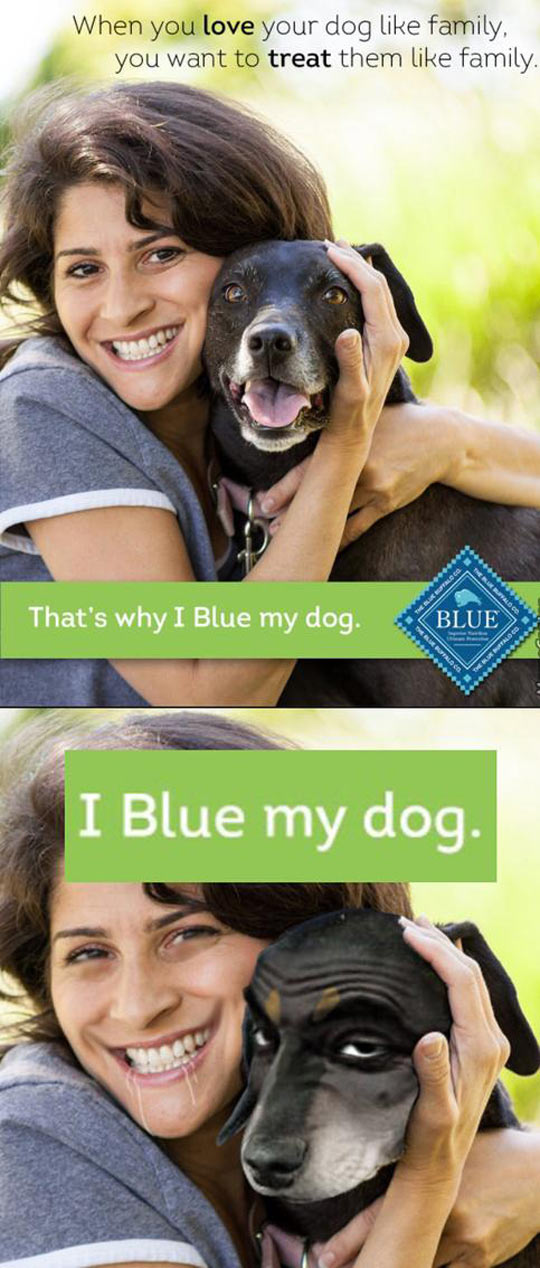 funny-dog-Blue-family-treat