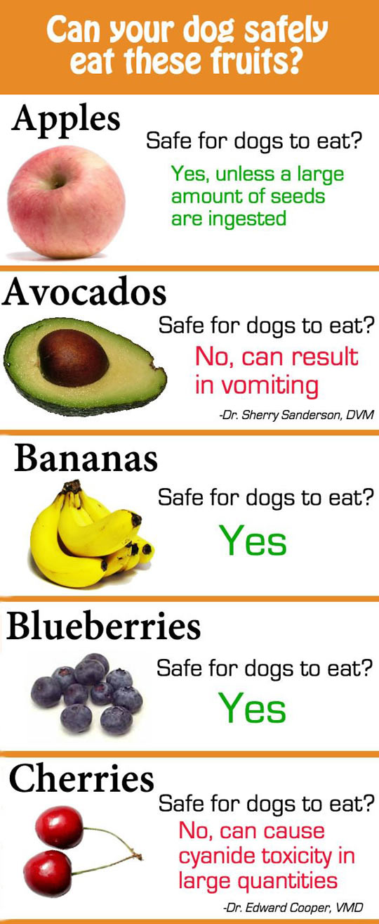 funny-dos-eating-fruits-safe