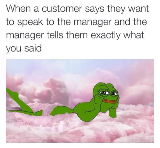 funny-frog-clouds-manager-costumer