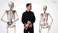 funny-gif-hip-toy-skeleton