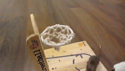 funny-gif-rat-net-ball-basketball