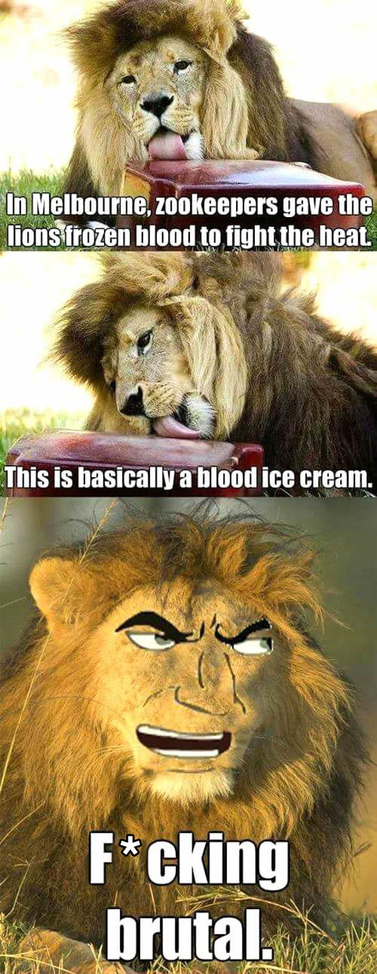 An Ice Cream For The Lion