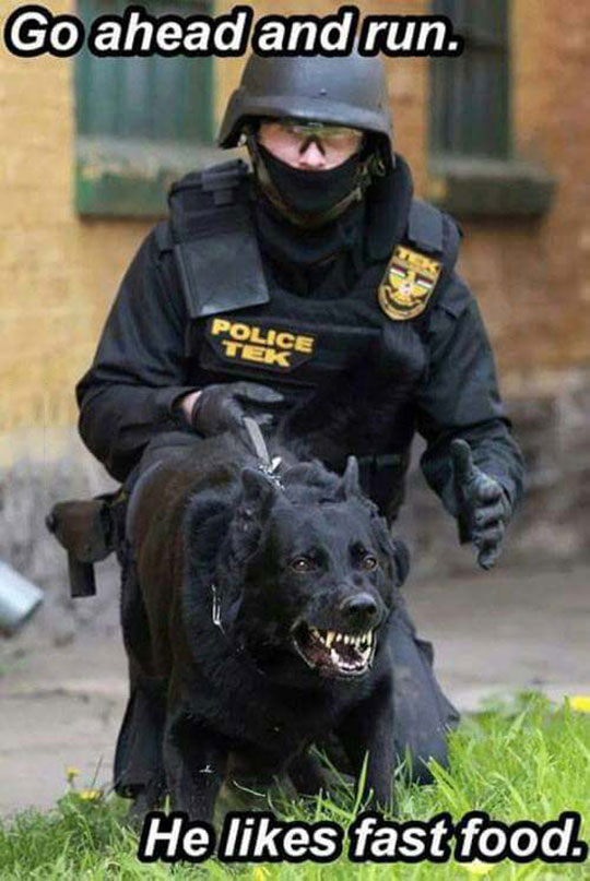 funny-police-dog-angry-teeth
