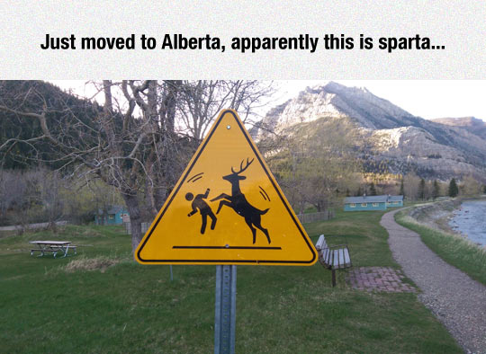 funny-sign-moose-attack-Alberta