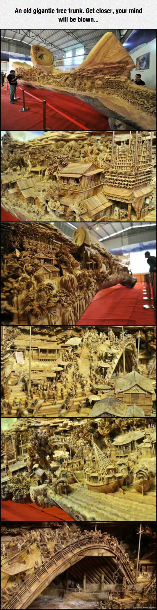 funny-trunk-city-carved-art-museum