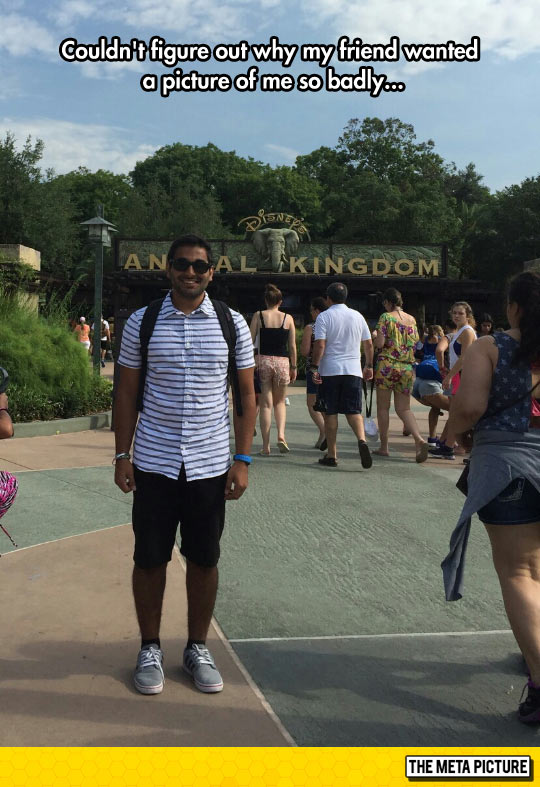funny-Animal-Kingdom-sign-blocking