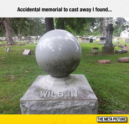 Come back, Wilson
