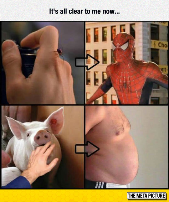 funny-Spiderman-pig-bite-super-powers