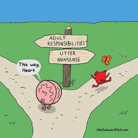 funny-brain-heart-path-comic