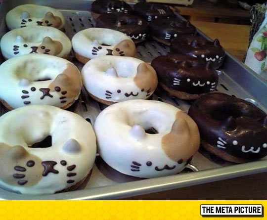 I Need These Donuts In My Life