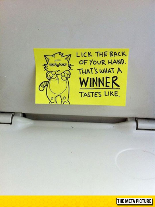 funny-cat-sticker-winner-taste