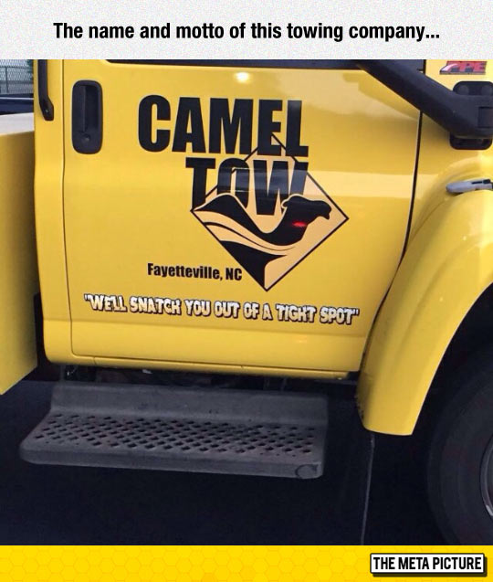 funny-company-towing-name-pun-camel