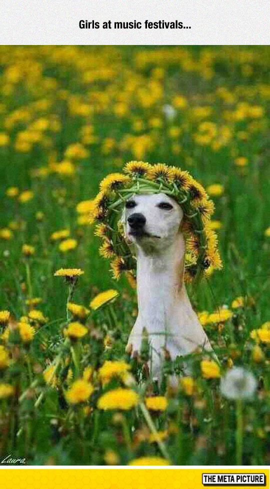 Girls With Flowers In Their Hair