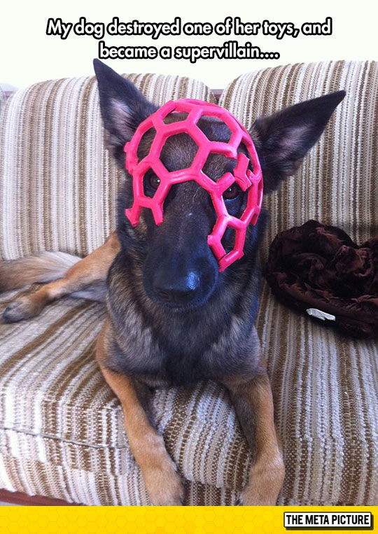 funny-dog-mask-toy-head