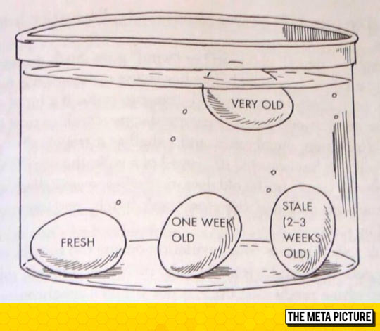 Useful Tip: How To Test The Age Of An Egg