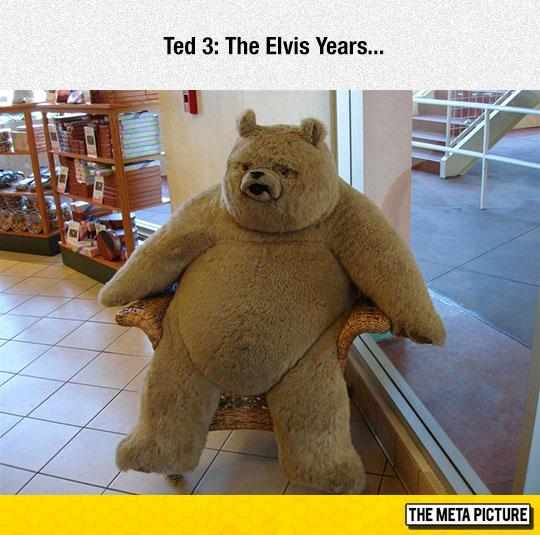 funny-fat-big-Teddy-Bear