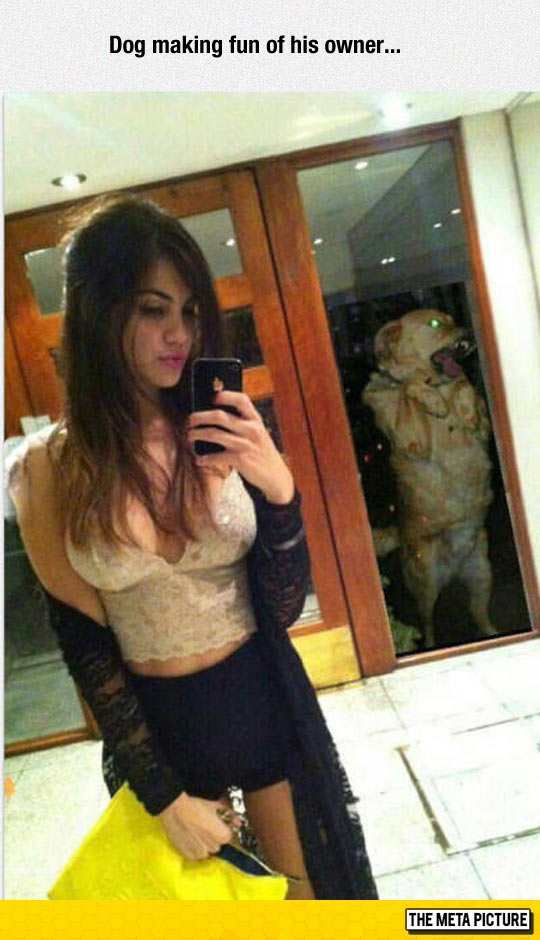 funny-girl-selfie-dog-owner