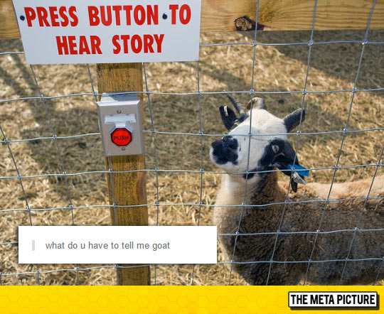 The Goat Storyteller