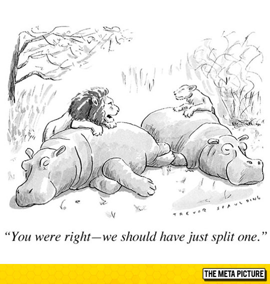 funny-lions-hunting-fat-cartoon