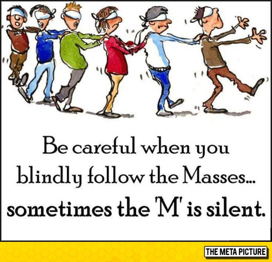 If You Blindly Follow The Masses