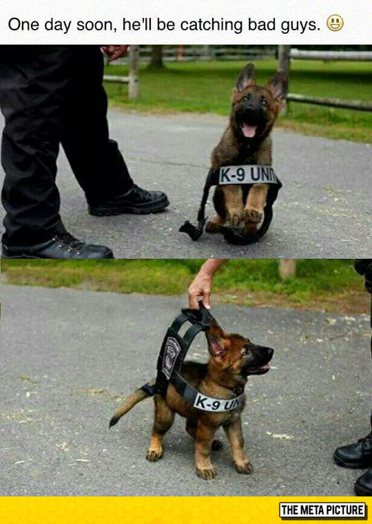 Cutest Police Officer Ever