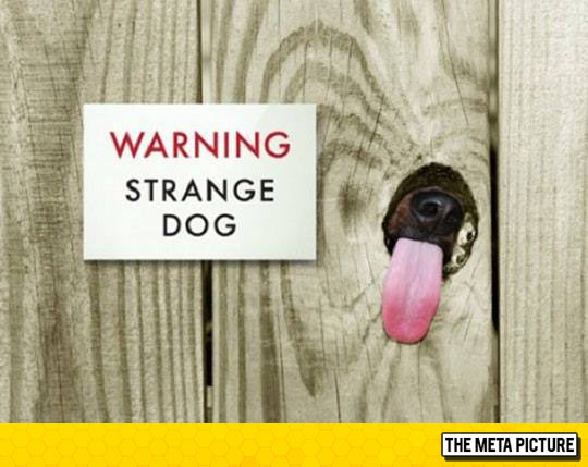 funny-sign-warning-strange-dog