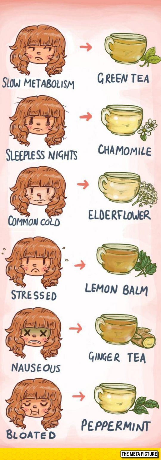 Know Your Tea