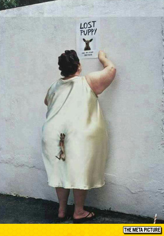 funny-woman-lost-puppy-fat