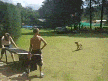 Dog Knows How To Hop