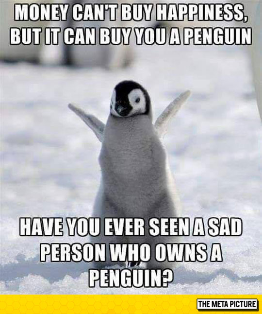 funny-animals-penguin-snow-white-happy