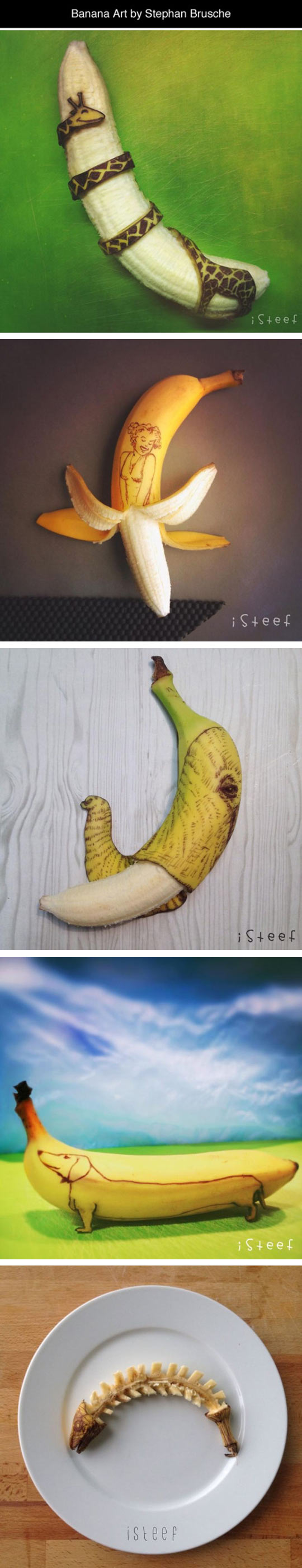 Banana Art By Stephan Brusche