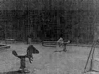 funny-gif-insanity-park-man-horse