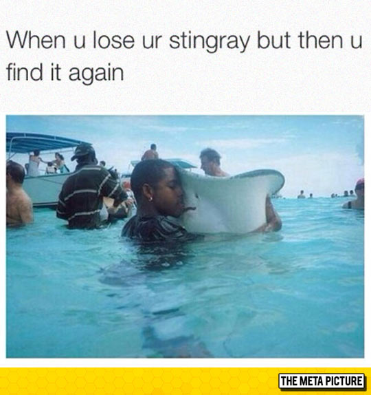 funny-kid-hug-stingray