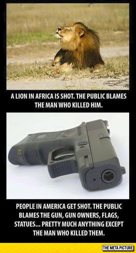 funny-lion-Africa-resting-ground