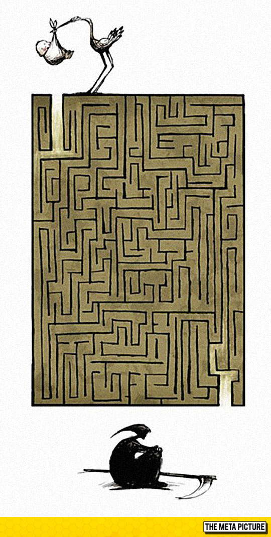 The Great Maze Of Life