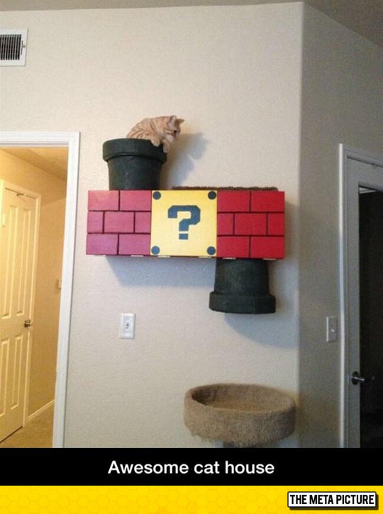funny-orange-cat-Mario-game-wall
