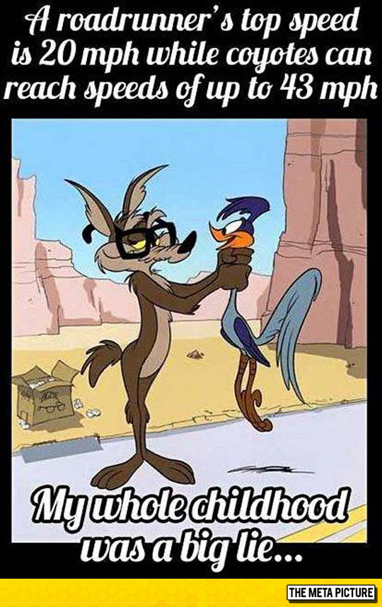 funny-road-runner-coyote-cartoon