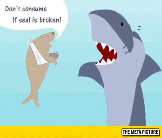 funny-shark-seal-broken-arm