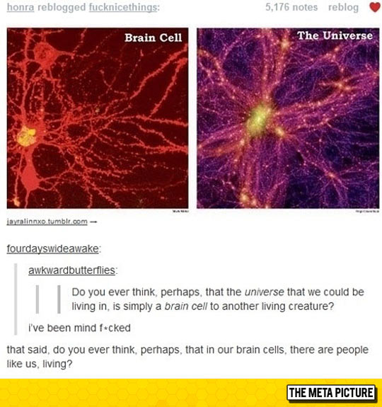 cool-brain-cell-Universe-mind-blown