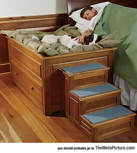 The Perfect Bed For Your Dog