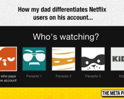 Netflix Users