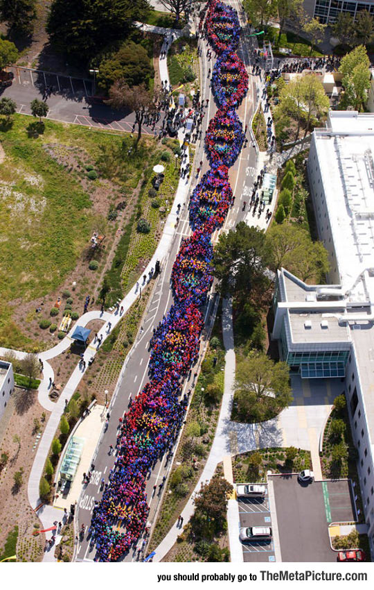 2600 People Form A Chain To Celebrate The Anniversary Of DNA