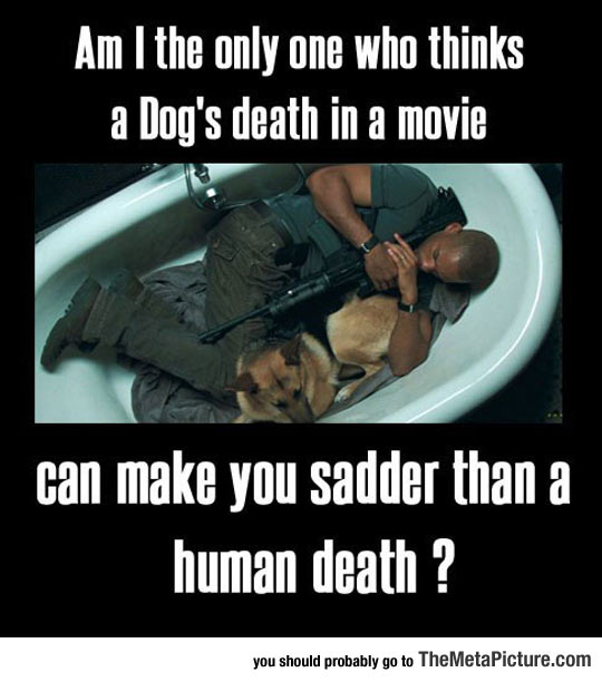 cool-Will-Smith-sleeping-dog-bathtub