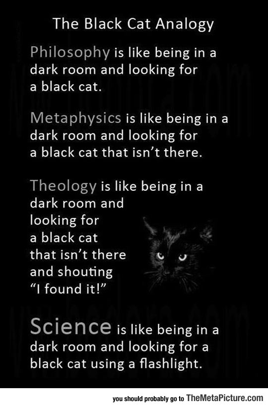 Black Cat Analogy