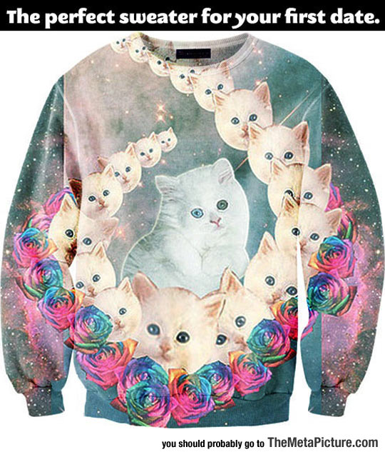 cool-cat-cute-sweater-first-date