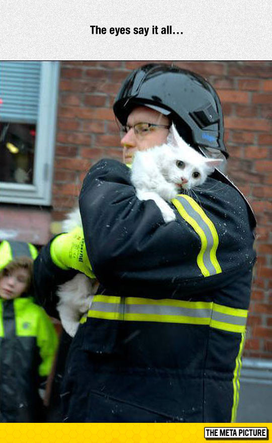 Rescuing A Kitty From A Fire